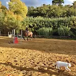Farmház Ridocco