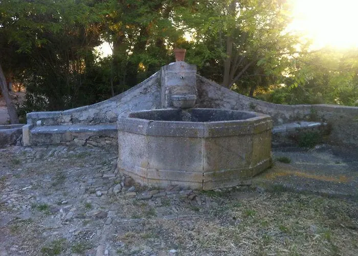 Ridocco