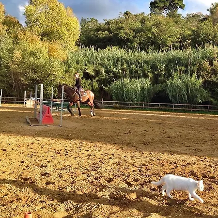 Séjour à la ferme Ridocco
