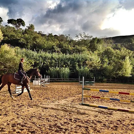 Alloggio per agriturismo Ridocco Corleone