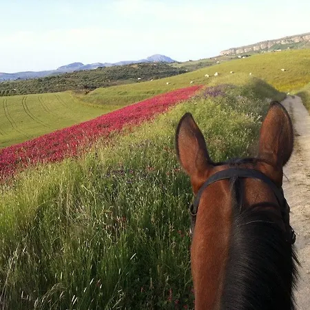 Alloggio per agriturismo Ridocco